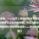 幕后英雄，Steam软件工程师的创造与挑战，（注，若需更简洁或风格调整，可改为解码Steam，工程师如何打造游戏帝国或Steam背后的技术大脑）