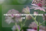 小蛤CSGO，从游戏主播到电竞文化符号的蜕变之路