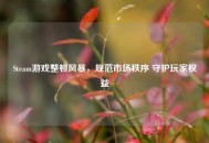 Steam游戏整顿风暴，规范市场秩序 守护玩家权益