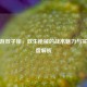CF手游双子座，双生枪械的战术魅力与实战深度解析