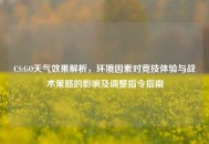 CS:GO天气效果解析，环境因素对竞技体验与战术策略的影响及调整指令指南