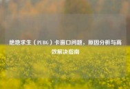 绝地求生（PUBG）卡窗口问题，原因分析与高效解决指南