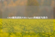 CSGO黑豹战队FURIA Esports的崛起与简介