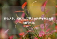 野生人参，揭秘深山百草之王的千年养生传奇与神奇功效