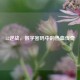 52逆战，数字密码中的热血传奇