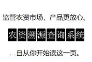 电竞新星程星，内向天才与队友林晓的王者荣耀羁绊