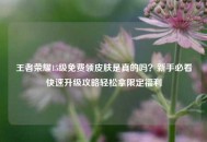 王者荣耀15级免费领皮肤是真的吗？新手必看快速升级攻略轻松拿限定福利