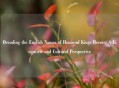 Decoding the English Names of Honor of Kings Heroes: A Linguistic and Cultural Perspective