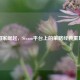 国家崛起，Steam平台上的策略经典重现