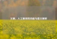 义眼，人工眼球的功能与意义解析