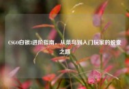 CSGO白银3进阶指南，从菜鸟到入门玩家的蜕变之路