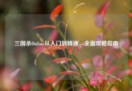 三国杀Online从入门到精通，全面攻略指南