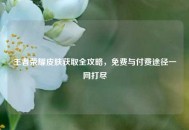 王者荣耀皮肤获取全攻略，免费与付费途径一网打尽