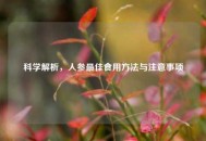科学解析，人参更佳食用     与注意事项