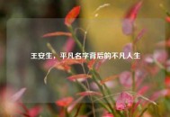 王安生，平凡名字背后的不凡人生