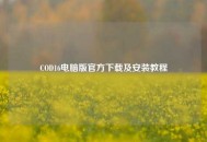 COD16电脑版官方下载及安装教程