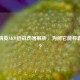 和平精英AKM近战伤害解析，为何它能称霸战场？
