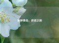 雨醉青花，逆战之韵