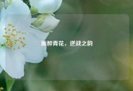 雨醉青花，逆战之韵