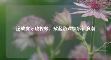 逆战虎牙皮视频，掀起游戏娱乐新浪潮