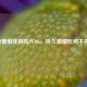 炫迈葡萄味助阵PUBG，持久     吃鸡不停歇！