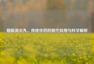 咽喉消炎丸，传统中药的现代应用与科学解析