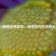CF287A硒鼓适用机型、使用技巧与选购全指南