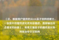 （注，根据用户提供的从LOL茄子到     梗王，一张照片的魔性进化史内容描述，直接输出符合要求的标题），电竞主播茄子的魔性照片如何统治中文互联网