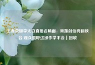 王者荣耀李太白直播名场面，青莲剑仙秀翻峡谷 观众直呼这操作学不会｜回放