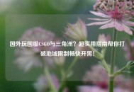 国外玩国服CSGO与三角洲？超实用指南帮你打破地域限制畅快开黑！