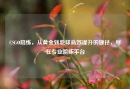 CSGO陪练，从黄金到地球高效提升的捷径，尽在专业陪练平台