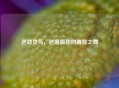 逆战灵鸟，逆境振翅的勇智之舞