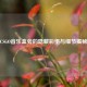 CSGO音乐盒旁的隐藏彩蛋与细节揭秘
