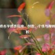 CF游戏名字修改指南，创意、个性与规则全解析