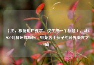 （注，根据用户要求，仅生成一个标题），从CSGO到柳州螺蛳粉，电竞选手茄子的跨界美食之旅