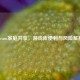 Steam家庭共享，游戏库便利与风险解析
