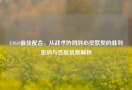 CSGO更佳配合，从战术协同到心灵默契的胜利密码与匹配机制解析