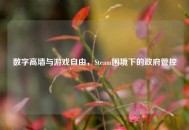 数字高墙与游戏自由，Steam困境下的     管控
