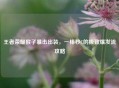 王者荣耀猴子暴击出装，一棒秒C的极致爆发流攻略