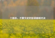 三国杀，才兼文武的智谋巅峰对决