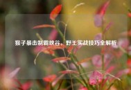 猴子暴击制霸峡谷，野王实战技巧全解析