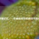 荣耀记忆，一区截图背后的竞技与情怀