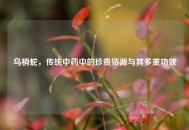 乌梢蛇，传统中药中的珍贵资源与其多重功效