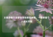 王者荣耀生涯徽章等级查看教程，一键掌握个人成长历程