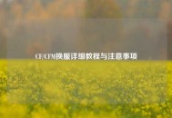 CF/CFM换服详细教程与注意事项