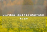 CSGO厂牌崛起，揭秘电竞俱乐部如何打造专属金字招牌