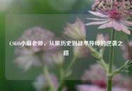 CSGO小麻老师，从黑历史到战术导师的逆袭之路