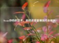 Steam存档的艺术，游戏进度管理技巧全解析