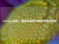 LOL Rogue战队，崛起的新星与电竞未来的希望
