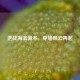 逆战海滨诡术，穿墙风云再起